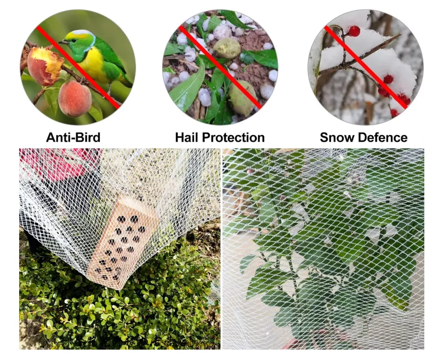 Anti-Hail Netting Vegetable Garden Hail Protect Netting Anti-Hail Netting Vegetable Garden Hail Protect Netting