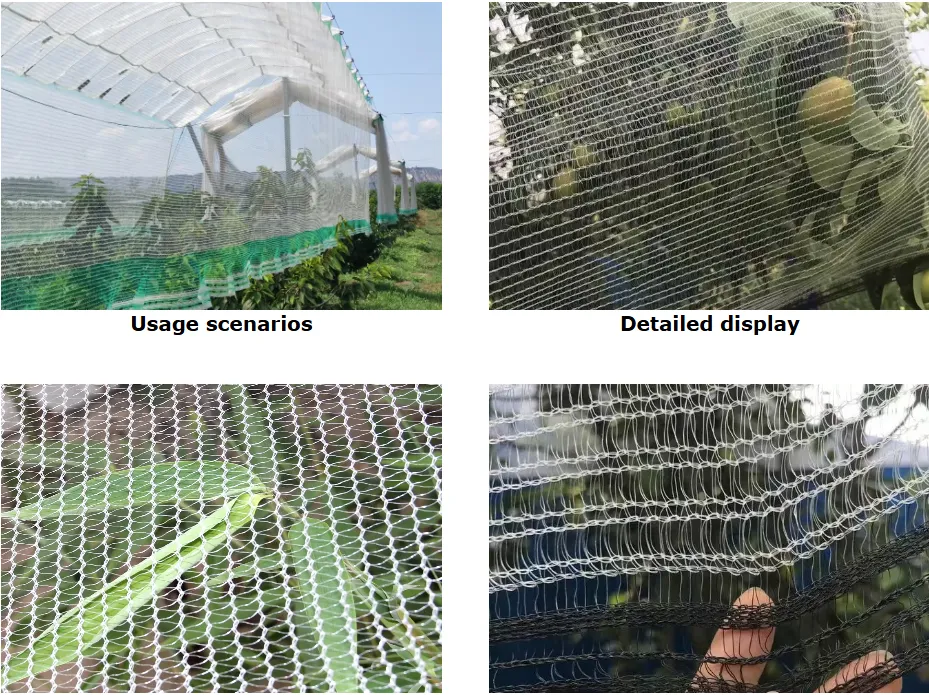 Finely Processed White Frost Cover Protector Anti-hail Netting for Plants Agriculture