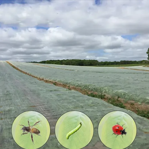 50 Mesh Insect Net: Blocks Aphids, Whiteflies &#038; Pests, Breathable