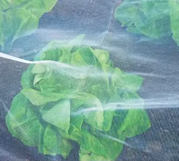 50 Mesh Insect Net: Blocks Aphids, Whiteflies &#038; Pests, Breathable