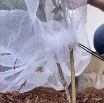 net for insects