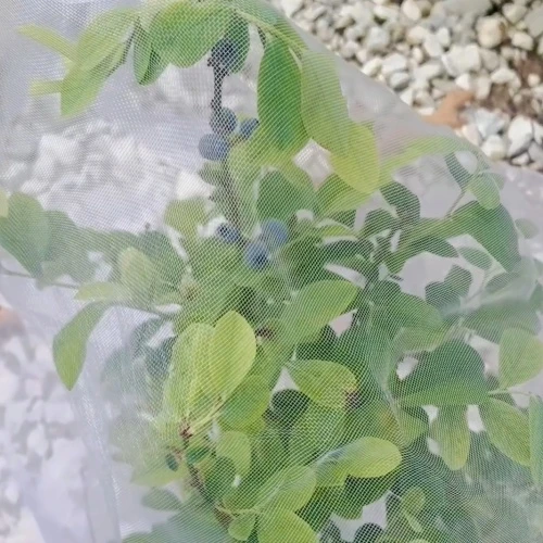 bird control net