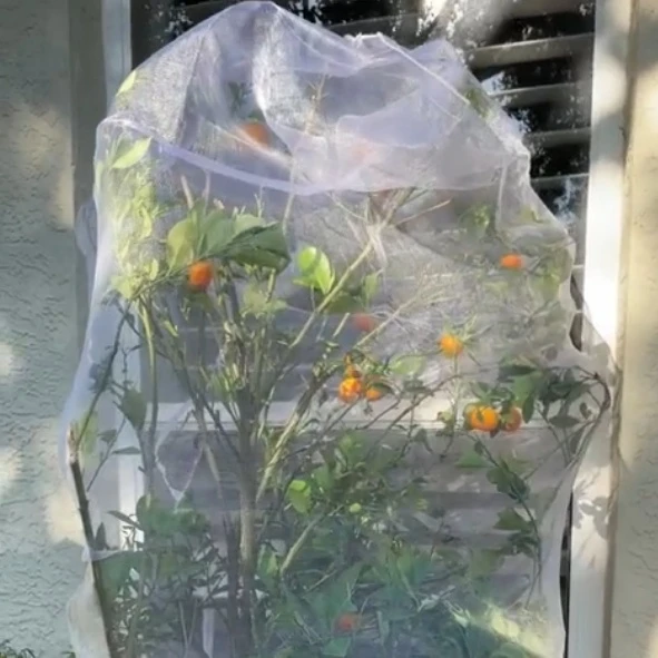 netting to prevent birds
