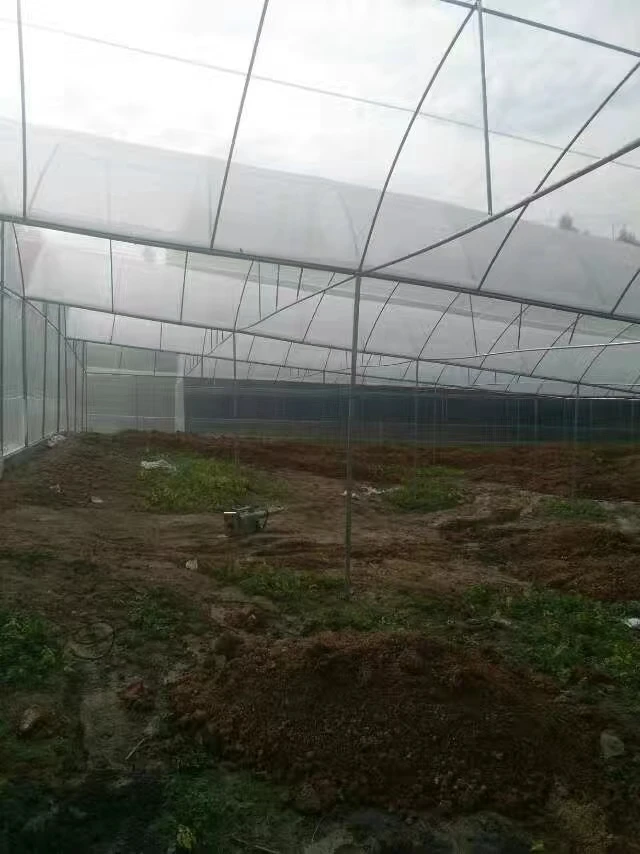 ibc bags