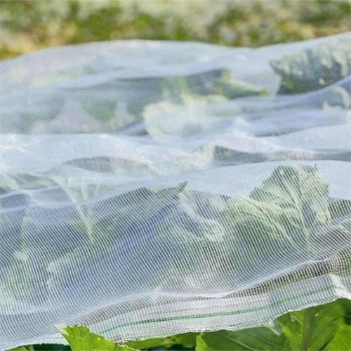 chicken mesh for construction