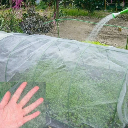 bug netting