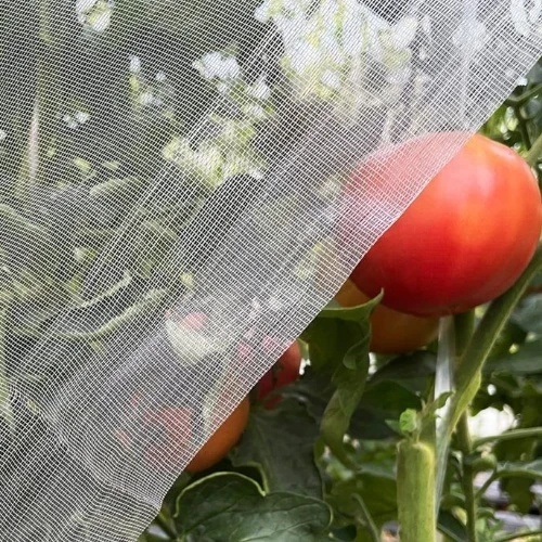 bug proof mesh