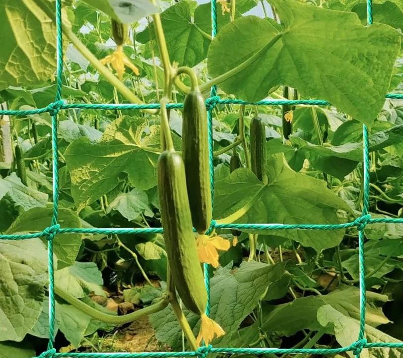 plastic net for garden