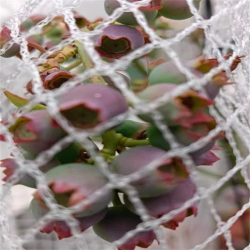 whites bird netting