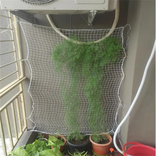 aviary mesh
