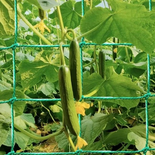 plastic trellis netting