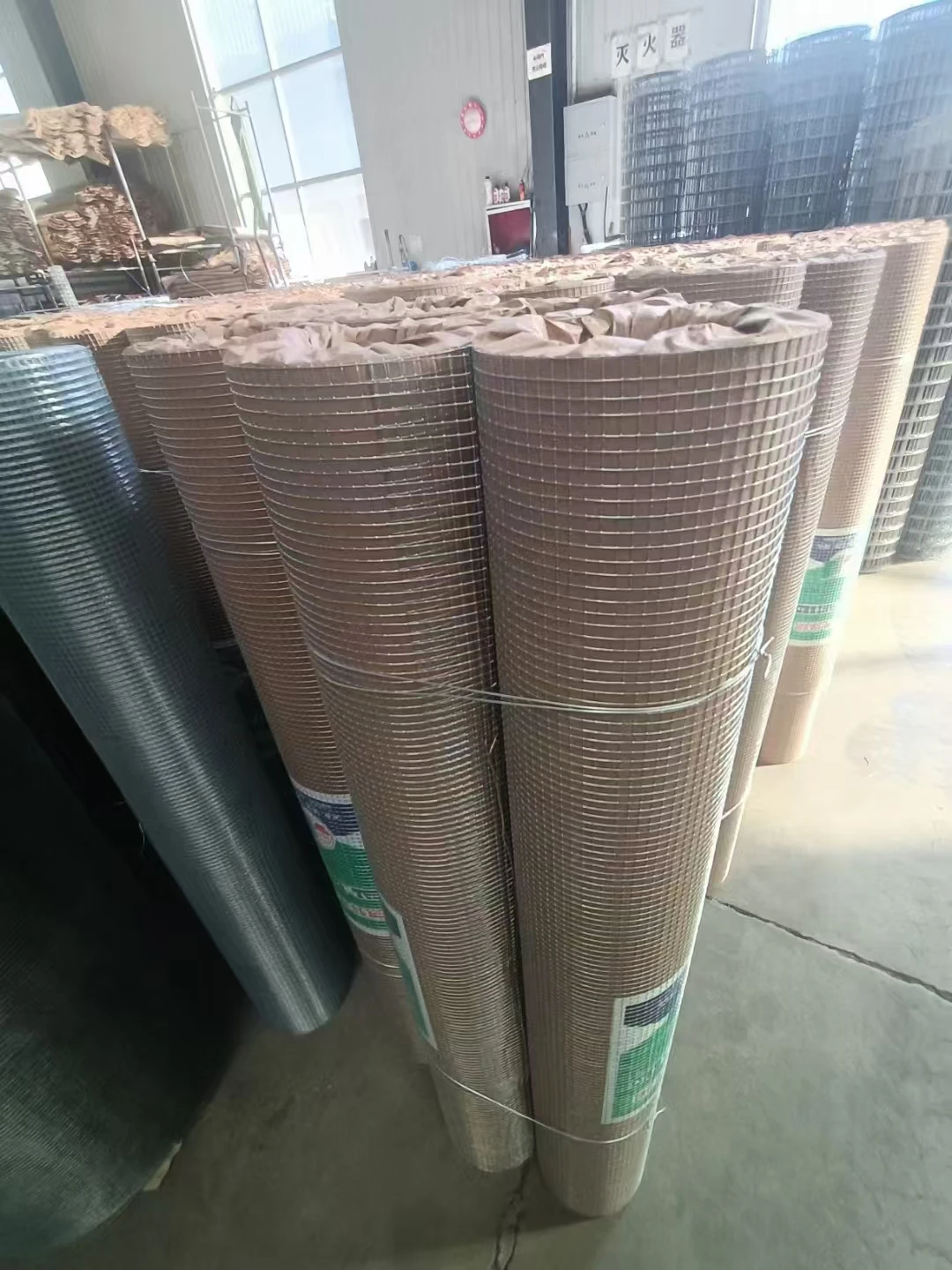 chicken net plastic