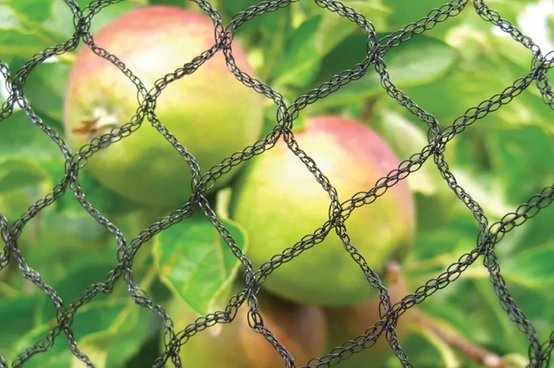 wire mesh filter
