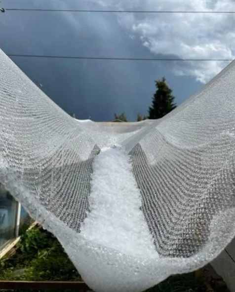 aviary net