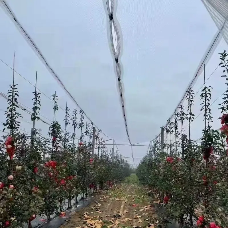 farm shade net