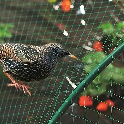 green nylon netting