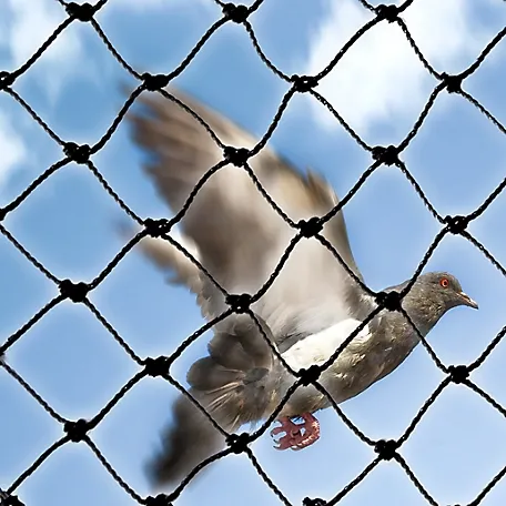 12 gauge wire mesh