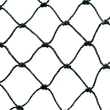 installing bird netting