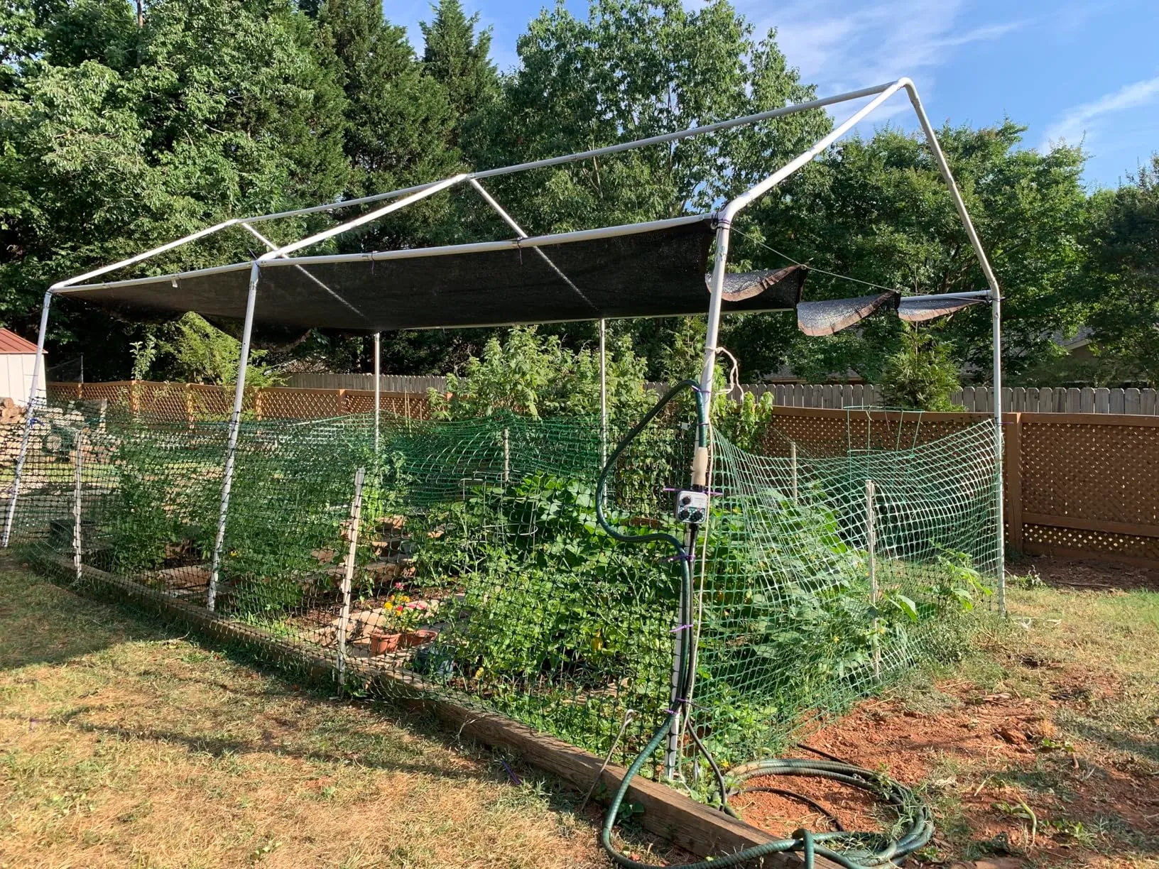 net for birds