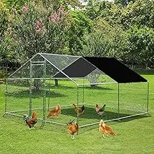 bird proof netting