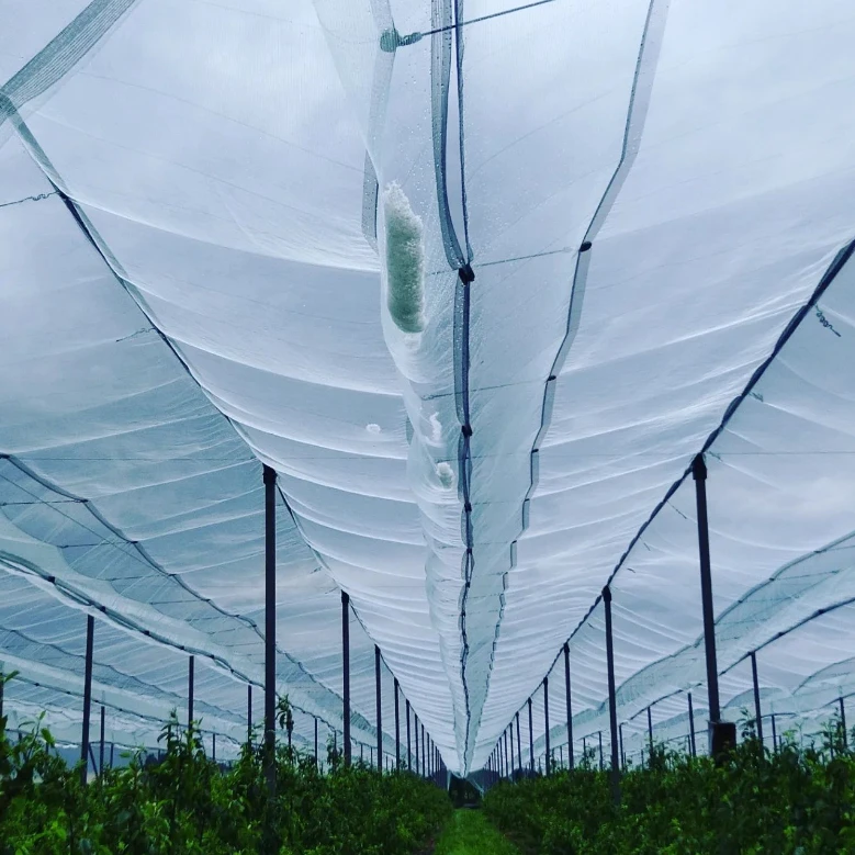 bug proof mesh