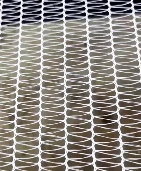 aviary bird net