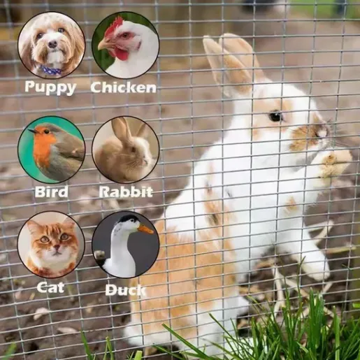 bird proof netting
