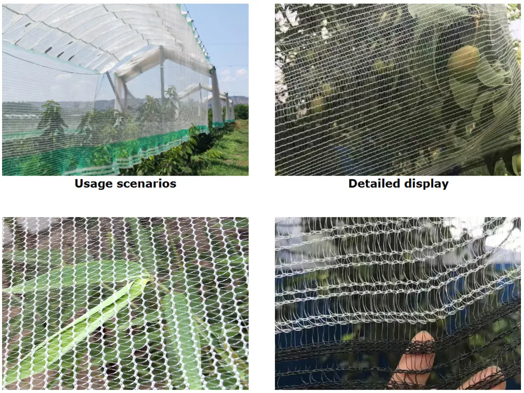 Anti-Hail Netting Vegetable Garden Hail Protect Netting Anti-Hail Netting Vegetable Garden Hail Protect Netting