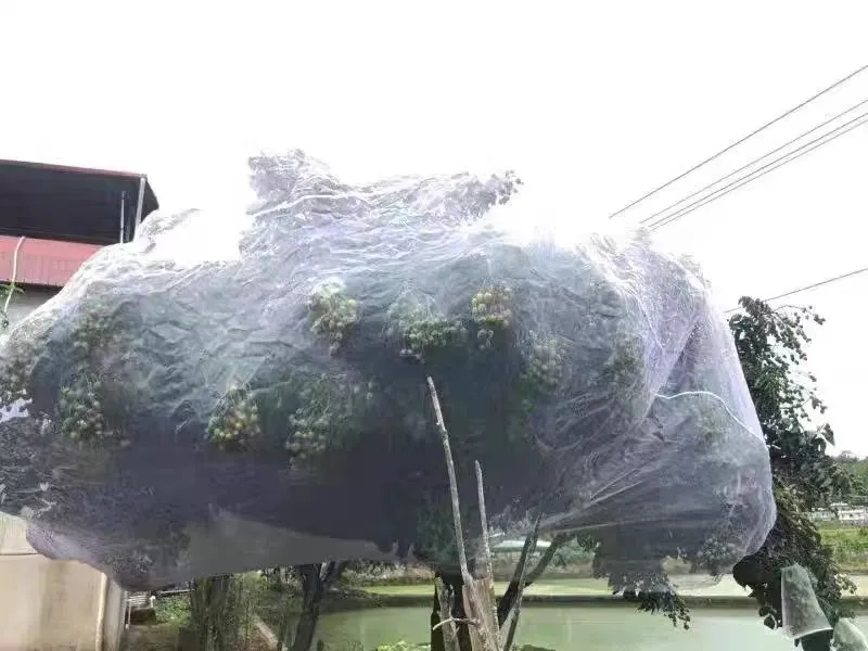nylon wire mesh