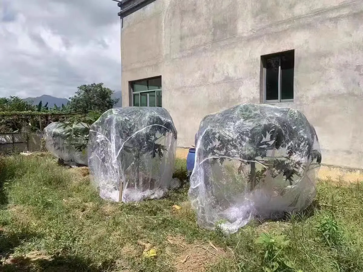 plastic chicken mesh