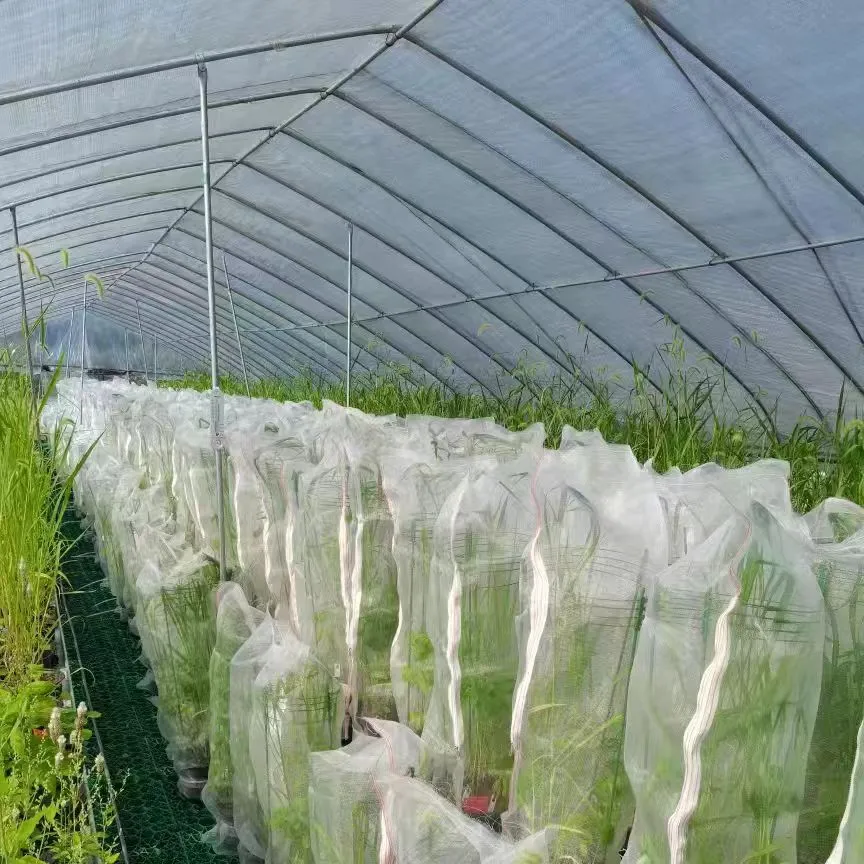 Read More About big bug netting