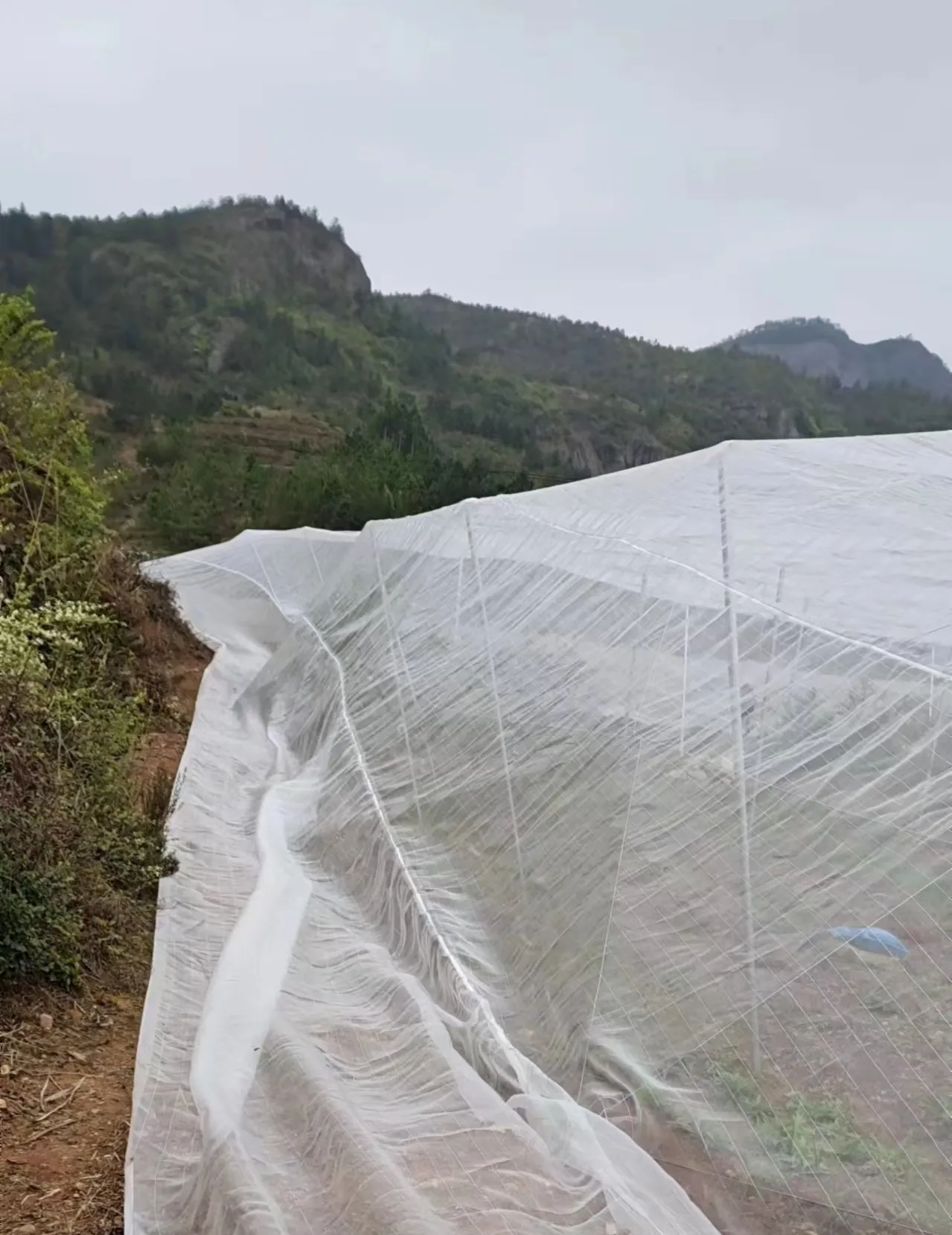 large steel mesh