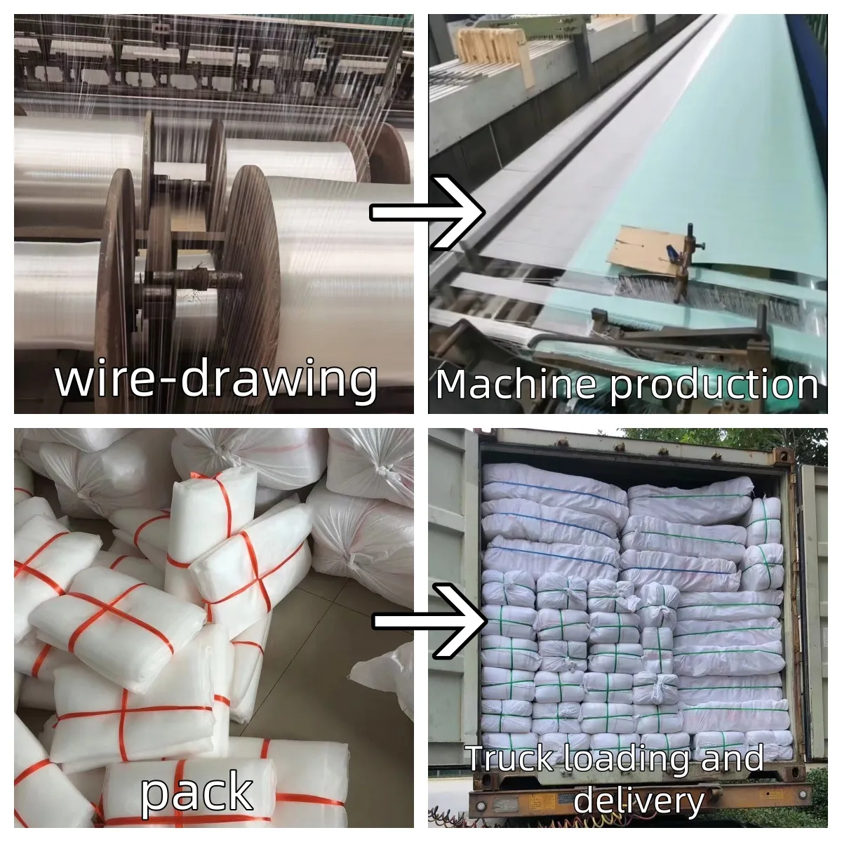 Read More About collapsible insect net