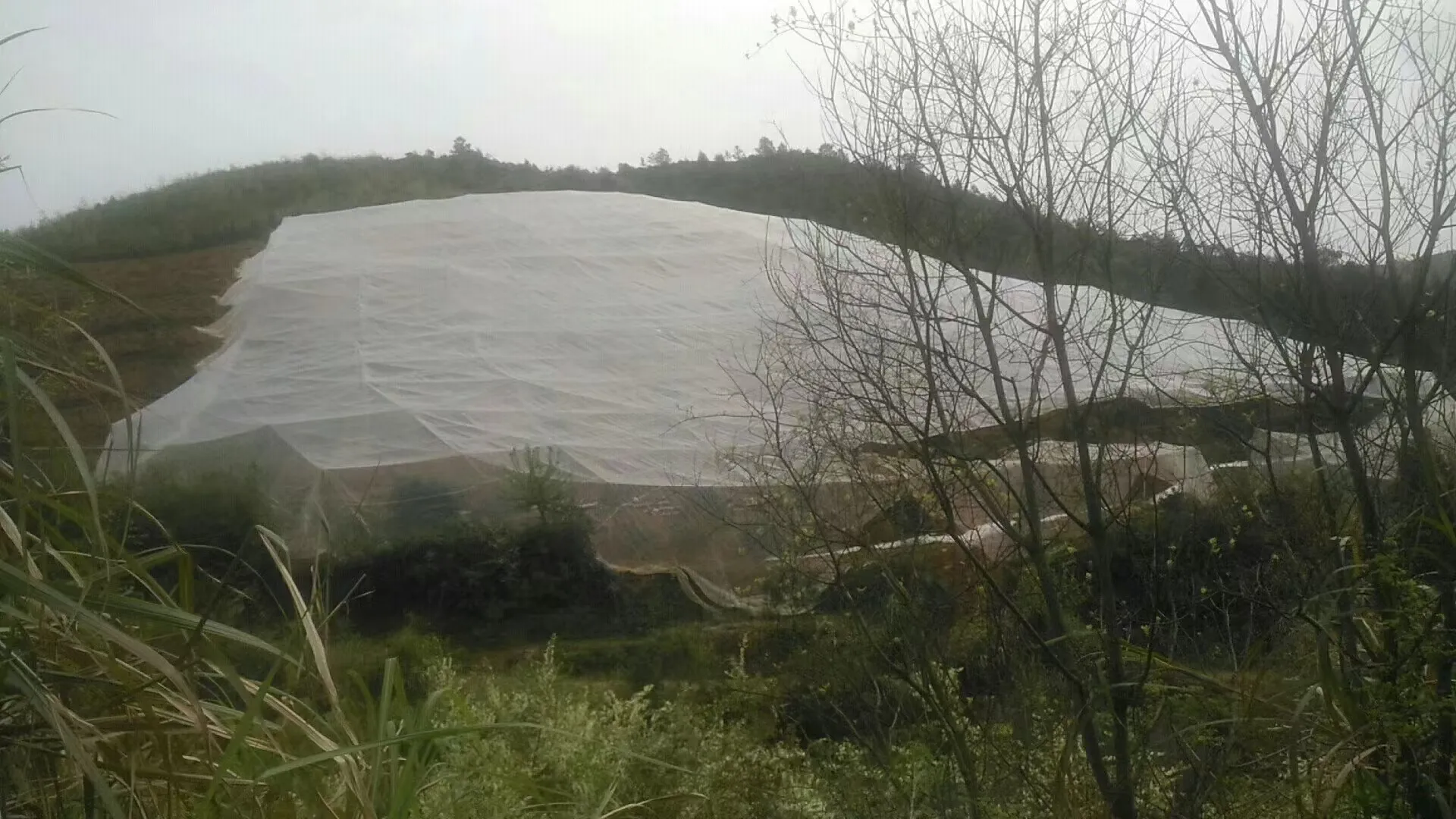 plastic net trellis