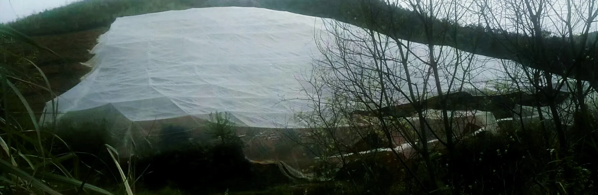 anti bird netting