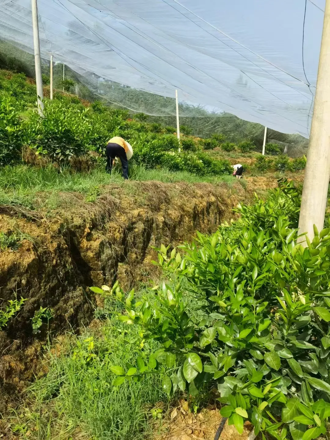stainless steel filtration mesh