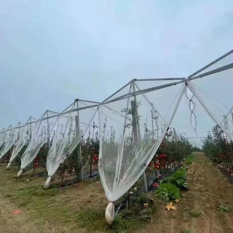 electro welded mesh