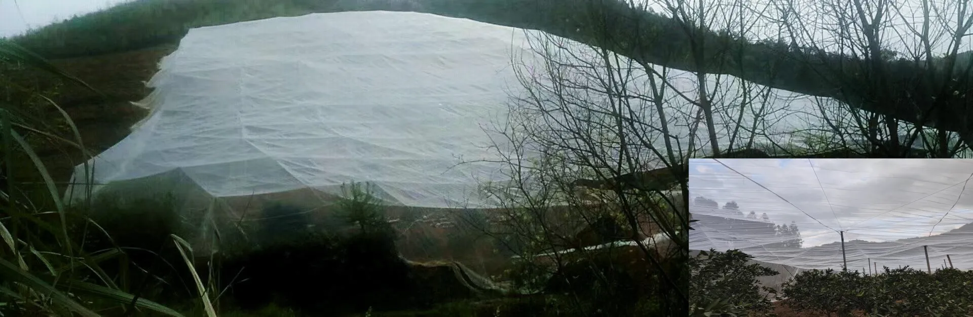 expanded plastic mesh