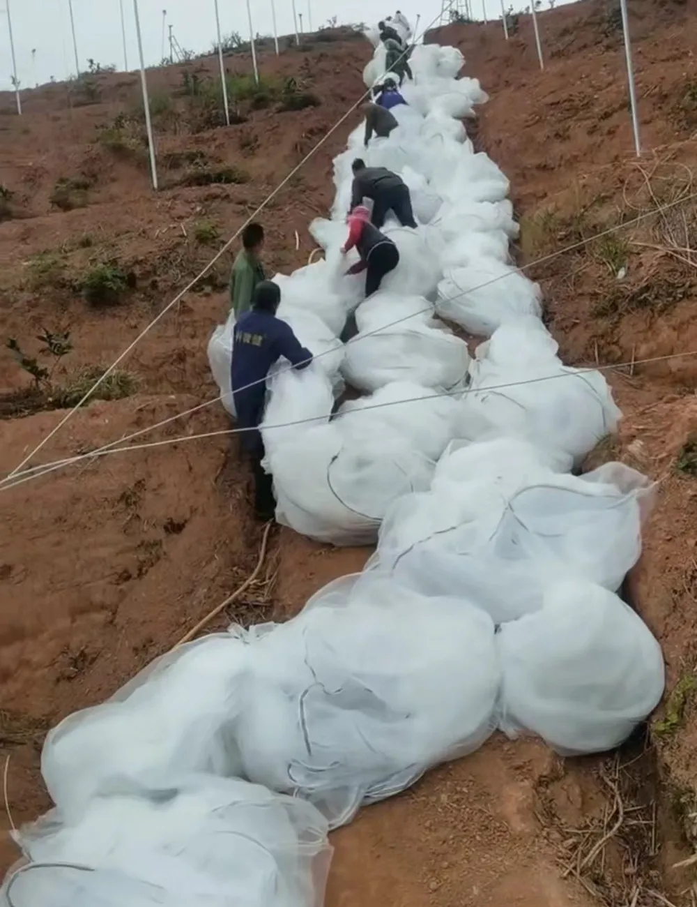 polypropylene sacks