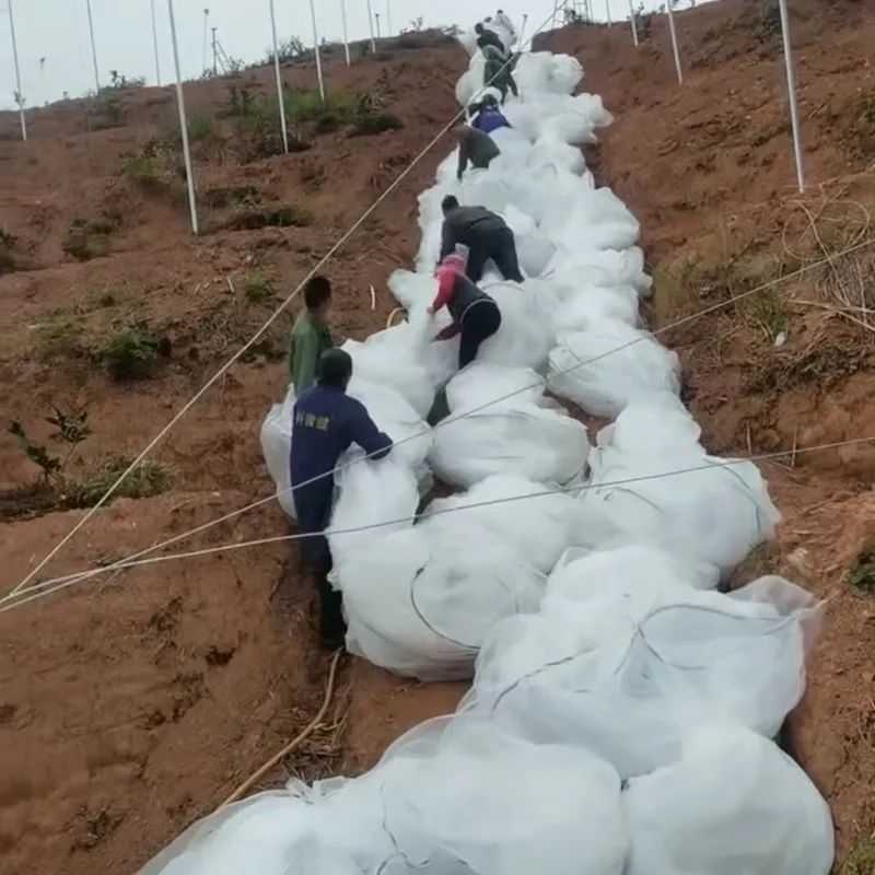 bird trapping net