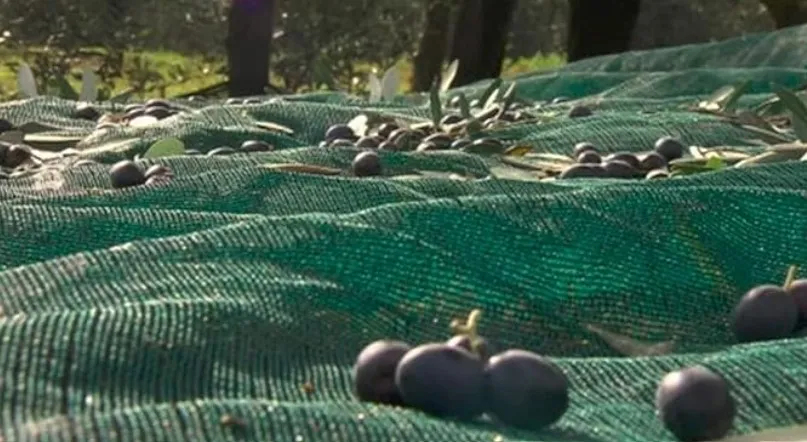 anti hail netting