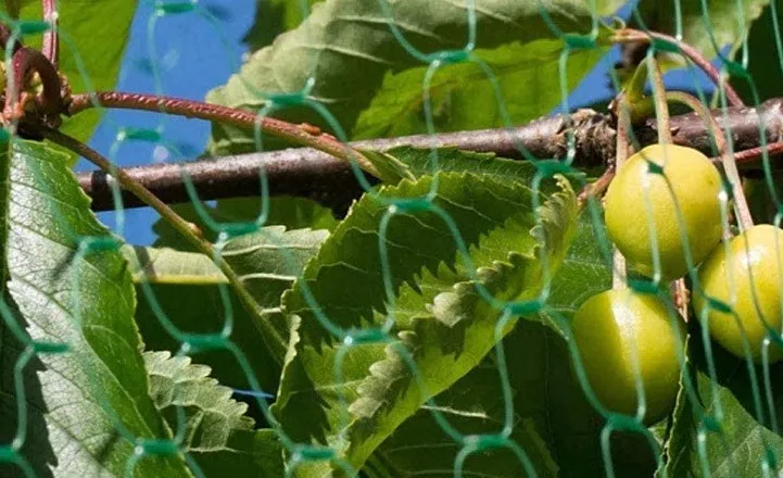 bird net for balcony