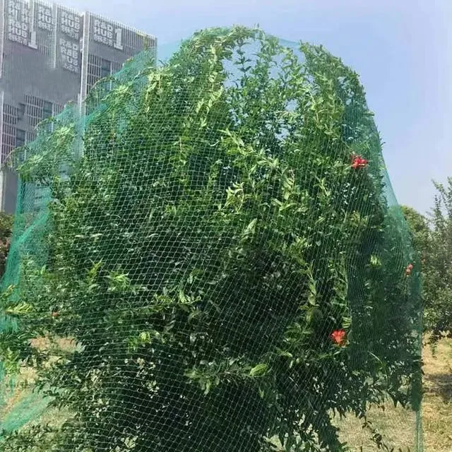 dust net for construction