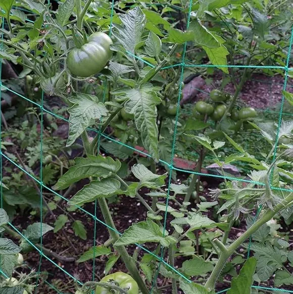 yard netting
