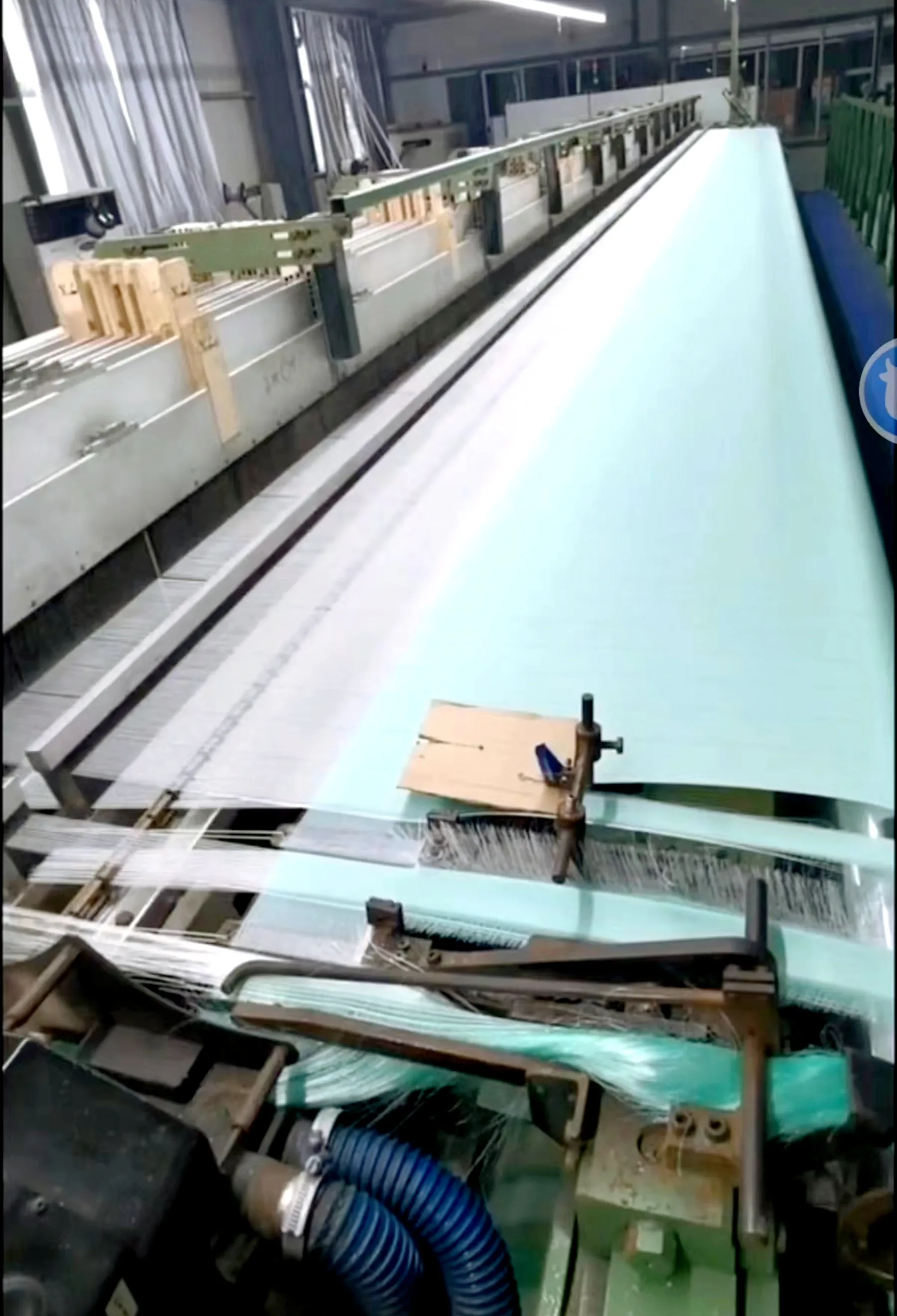 big bug netting