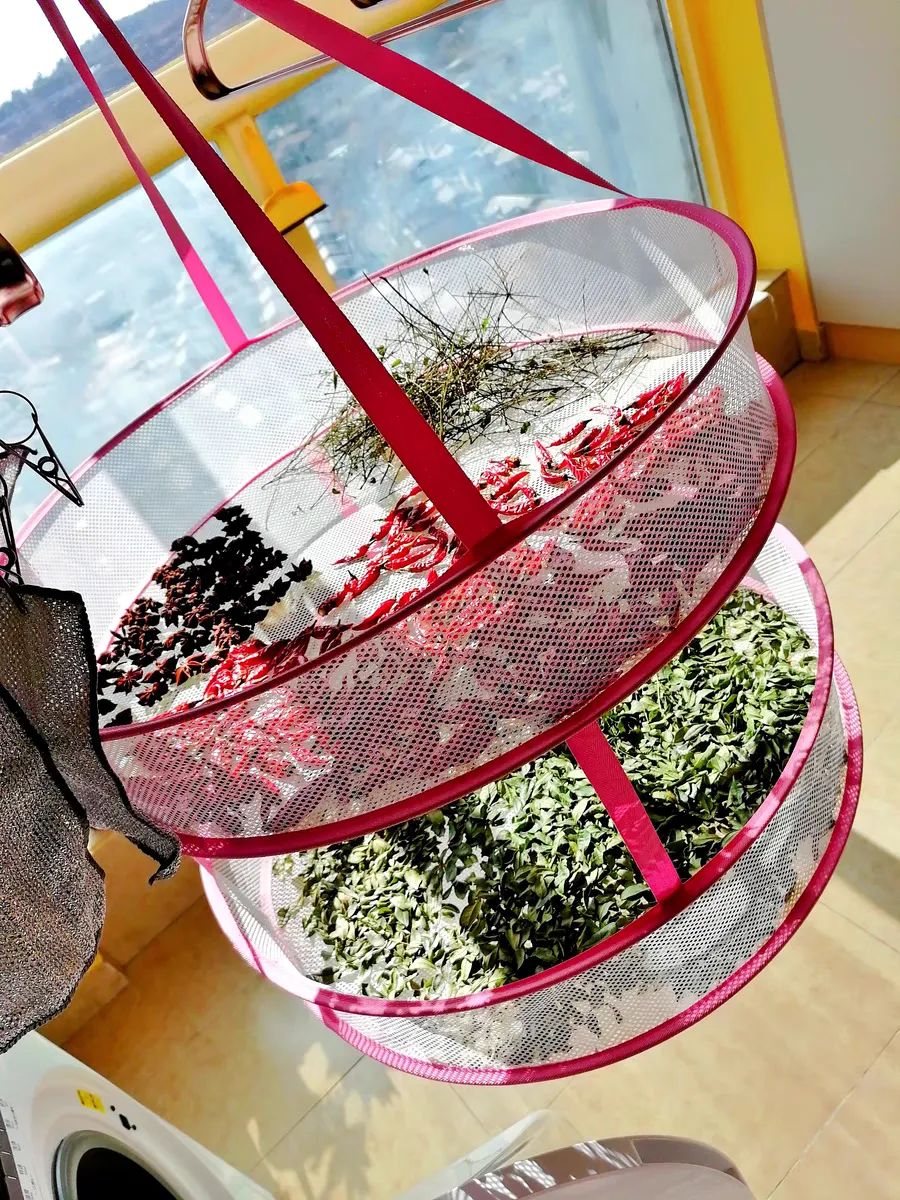 personal bug net