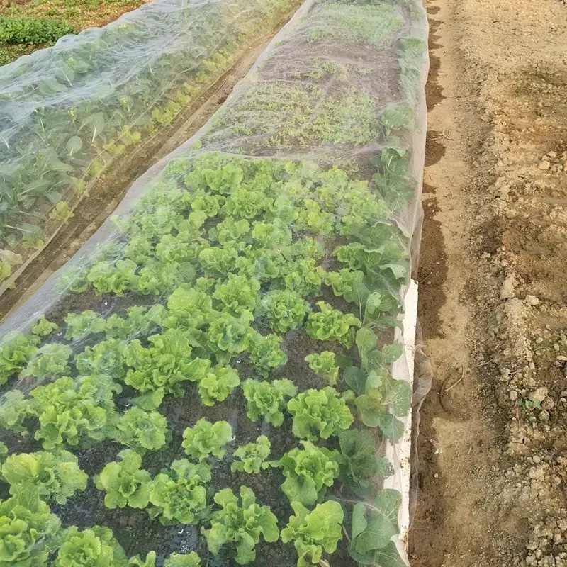 agricultural insect netting