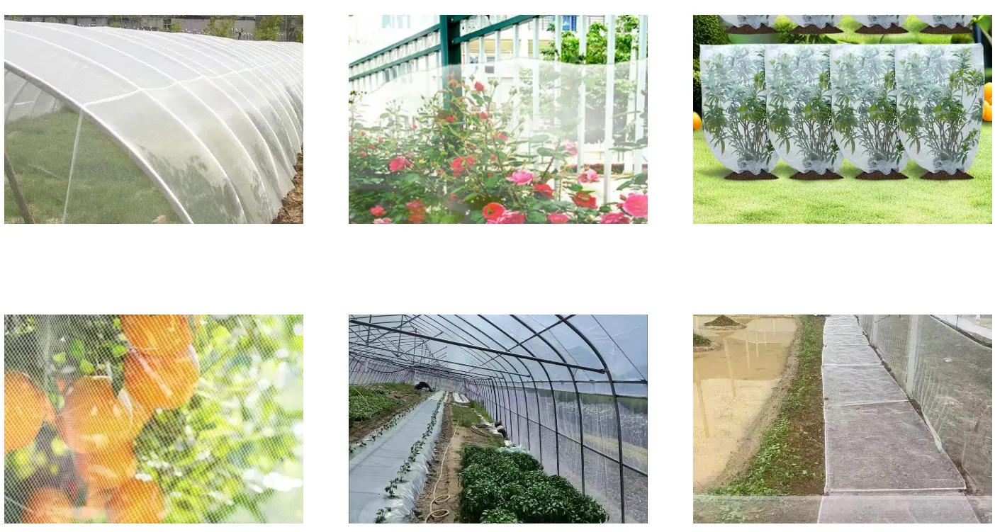 aviary mesh