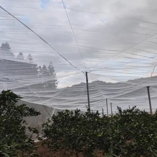 nylon screen