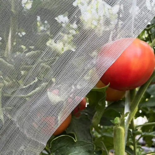 hail netting for cars